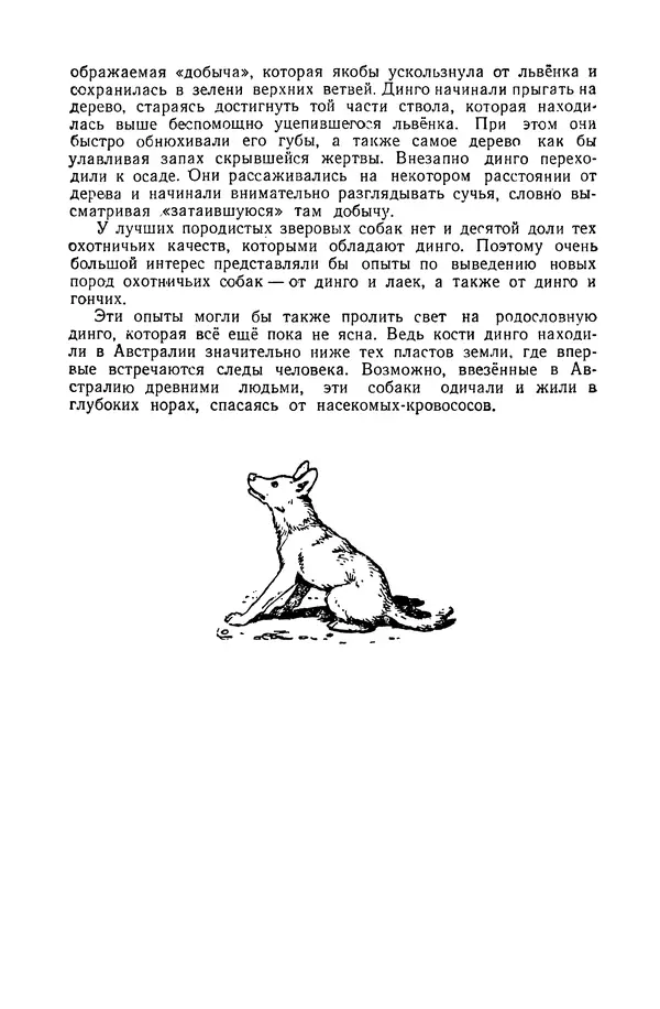 Петр Мантейфель - Рассказы натуралиста - Страница № 59