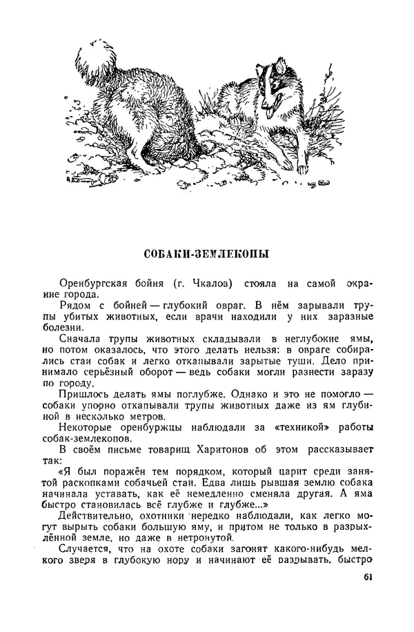 Петр Мантейфель - Рассказы натуралиста - Страница № 64
