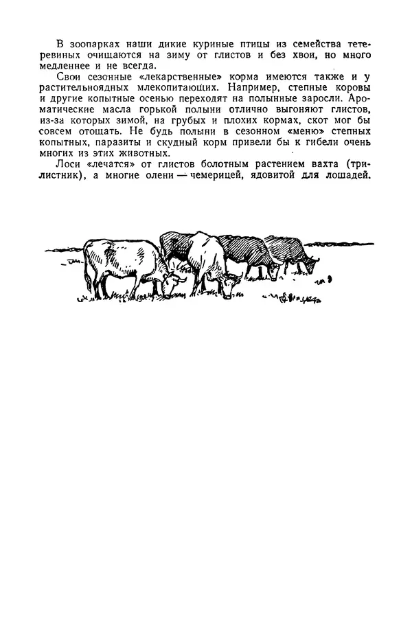 Петр Мантейфель - Рассказы натуралиста - Страница № 74