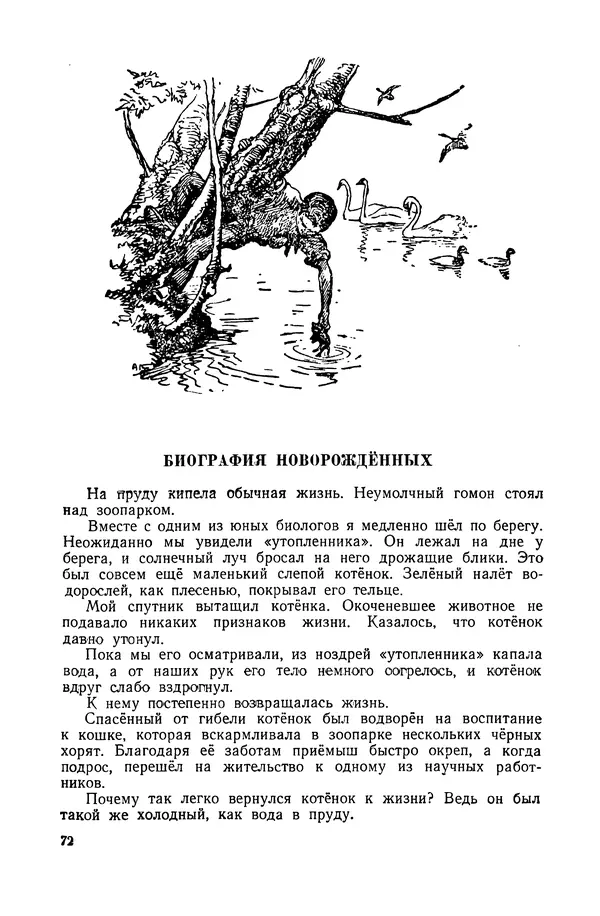 Петр Мантейфель - Рассказы натуралиста - Страница № 75