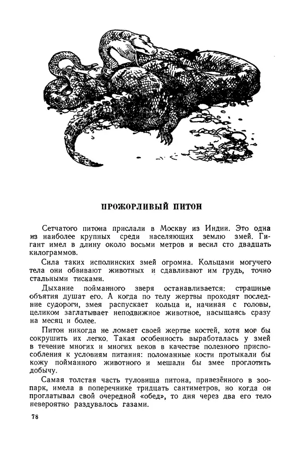 Петр Мантейфель - Рассказы натуралиста - Страница № 81