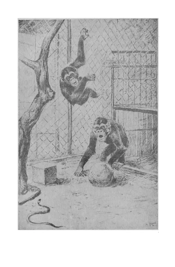 Петр Мантейфель - Рассказы натуралиста - Страница № 83