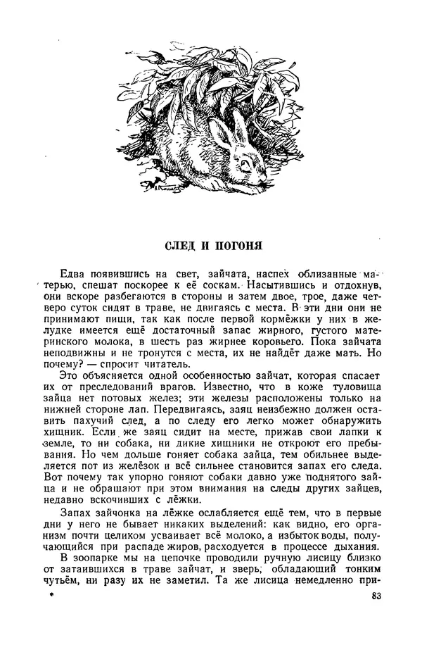 Петр Мантейфель - Рассказы натуралиста - Страница № 86