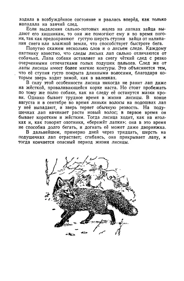 Петр Мантейфель - Рассказы натуралиста - Страница № 87
