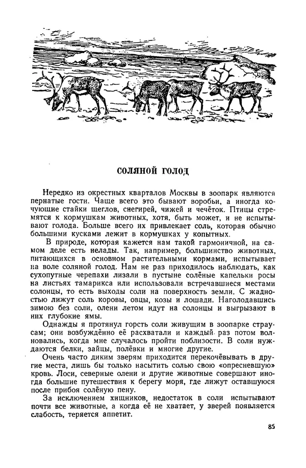 Петр Мантейфель - Рассказы натуралиста - Страница № 88
