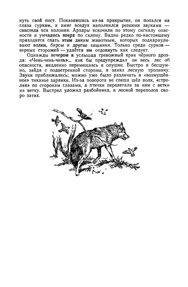 Петр Мантейфель - Рассказы натуралиста - Страница № 96