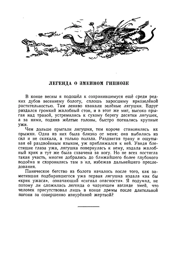 Петр Мантейфель - Рассказы натуралиста - Страница № 97