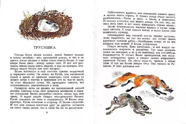 Сергей Воронин - Полосатая спинка - Страница № 5