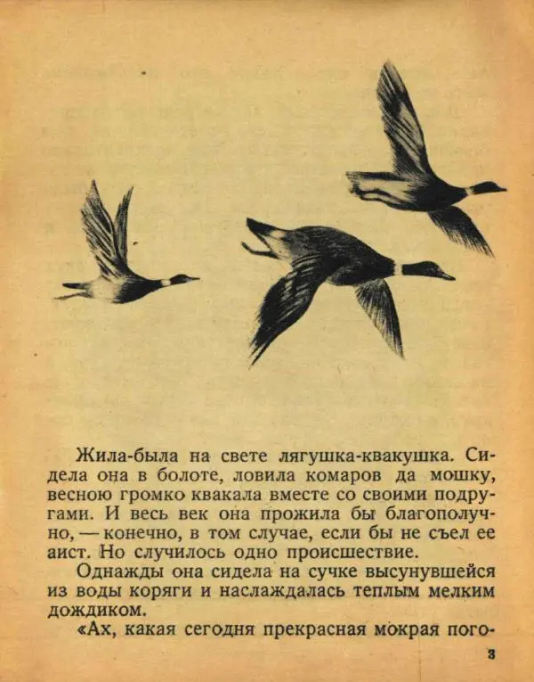 Всеволод Гаршин - Лягушка-путешественница - Страница № 5