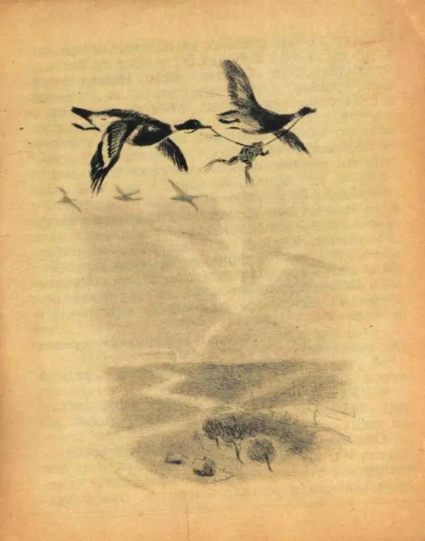 Всеволод Гаршин - Лягушка-путешественница - Страница № 11