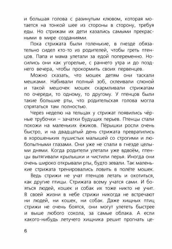 Людмила Одинцова - Я считаю ворон. Стриж по имени Сковородка - Страница № 9