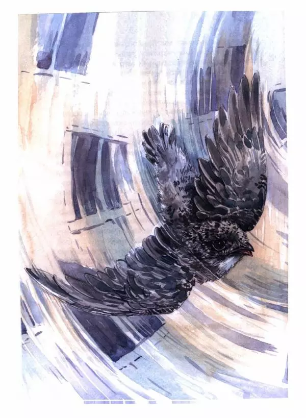 Людмила Одинцова - Я считаю ворон. Стриж по имени Сковородка - Страница № 11