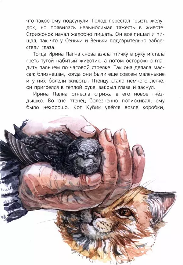 Людмила Одинцова - Я считаю ворон. Стриж по имени Сковородка - Страница № 19