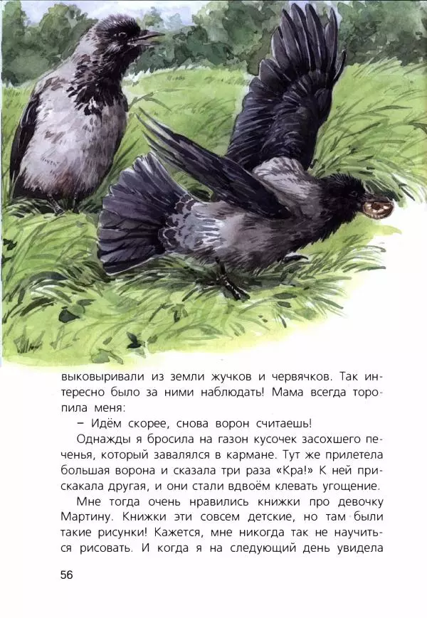 Людмила Одинцова - Я считаю ворон. Стриж по имени Сковородка - Страница № 59