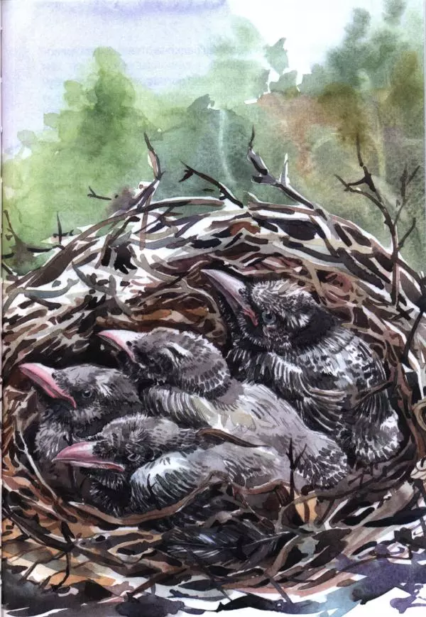 Людмила Одинцова - Я считаю ворон. Стриж по имени Сковородка - Страница № 80