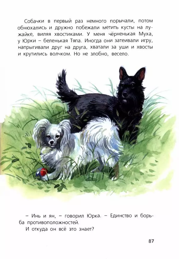 Людмила Одинцова - Я считаю ворон. Стриж по имени Сковородка - Страница № 90