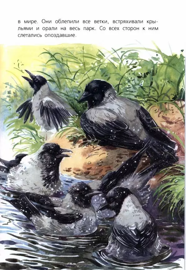 Людмила Одинцова - Я считаю ворон. Стриж по имени Сковородка - Страница № 106