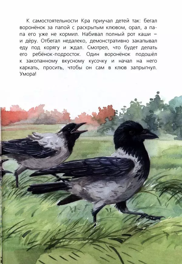 Людмила Одинцова - Я считаю ворон. Стриж по имени Сковородка - Страница № 110