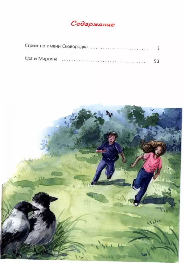 Людмила Одинцова - Я считаю ворон. Стриж по имени Сковородка - Страница № 114