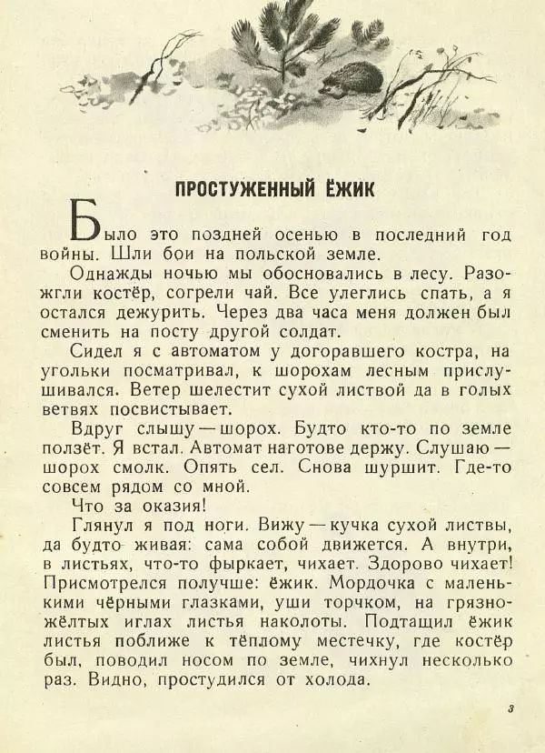 Сергей Баруздин - Как куры научились плавать - Страница № 4