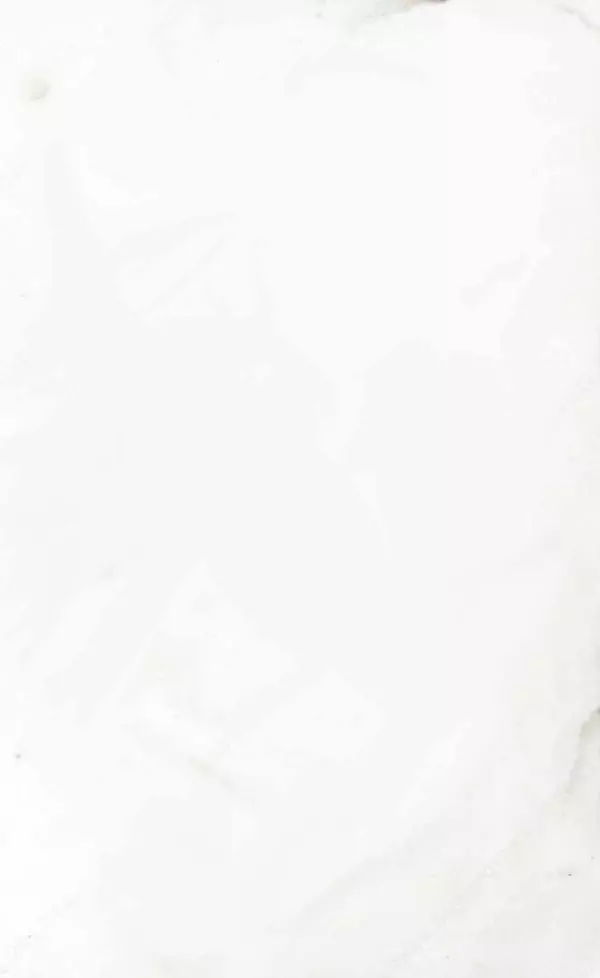 Н. Гурьев - Чапанная война - Страница № 28