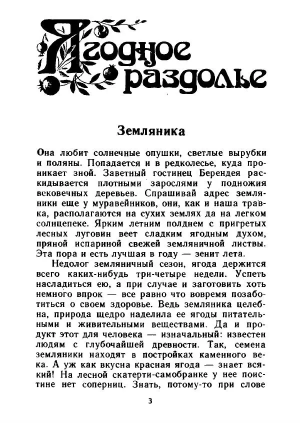 Александр Стрижев - Лесная скатерть-самобранка - Страница № 4