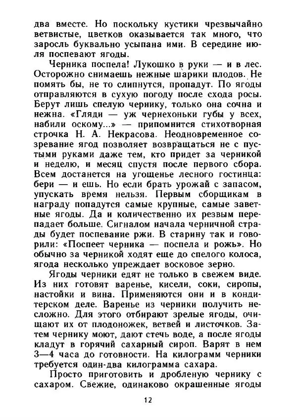 Александр Стрижев - Лесная скатерть-самобранка - Страница № 11