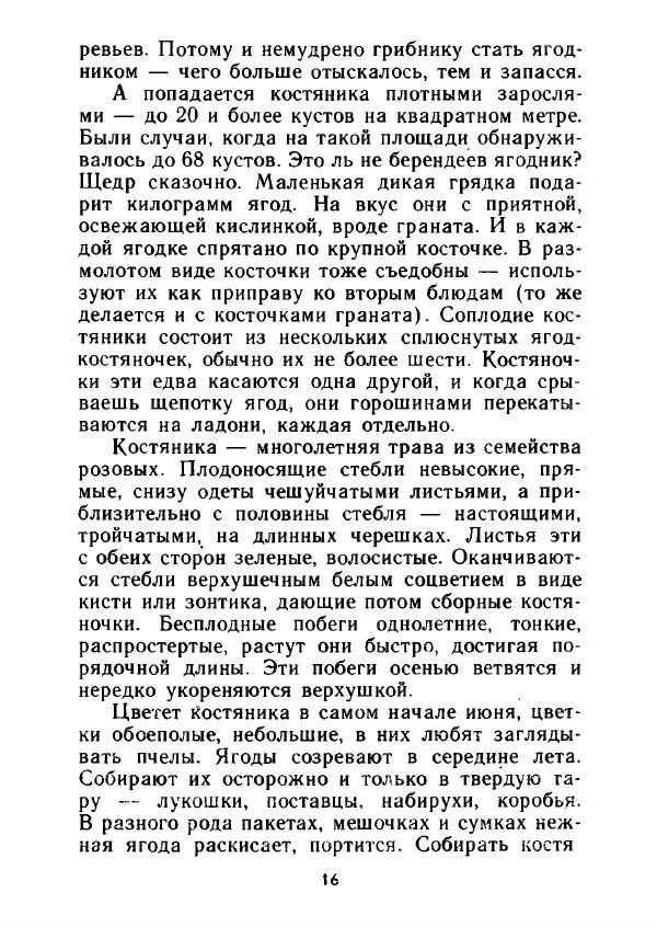 Александр Стрижев - Лесная скатерть-самобранка - Страница № 15