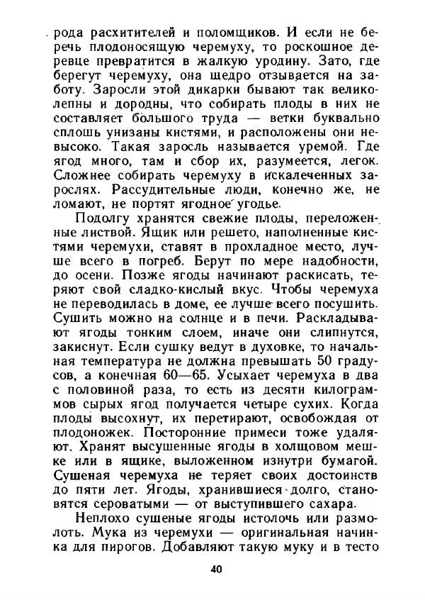 Александр Стрижев - Лесная скатерть-самобранка - Страница № 39