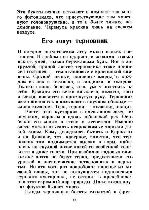 Александр Стрижев - Лесная скатерть-самобранка - Страница № 43