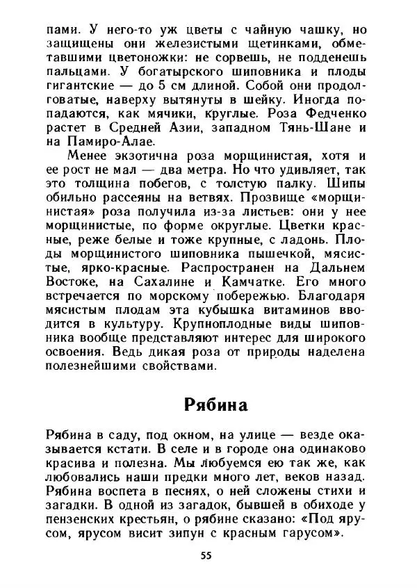 Александр Стрижев - Лесная скатерть-самобранка - Страница № 54