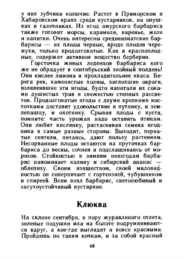 Александр Стрижев - Лесная скатерть-самобранка - Страница № 67