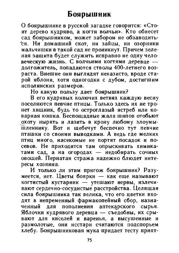 Александр Стрижев - Лесная скатерть-самобранка - Страница № 74