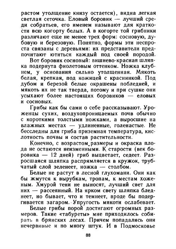 Александр Стрижев - Лесная скатерть-самобранка - Страница № 87