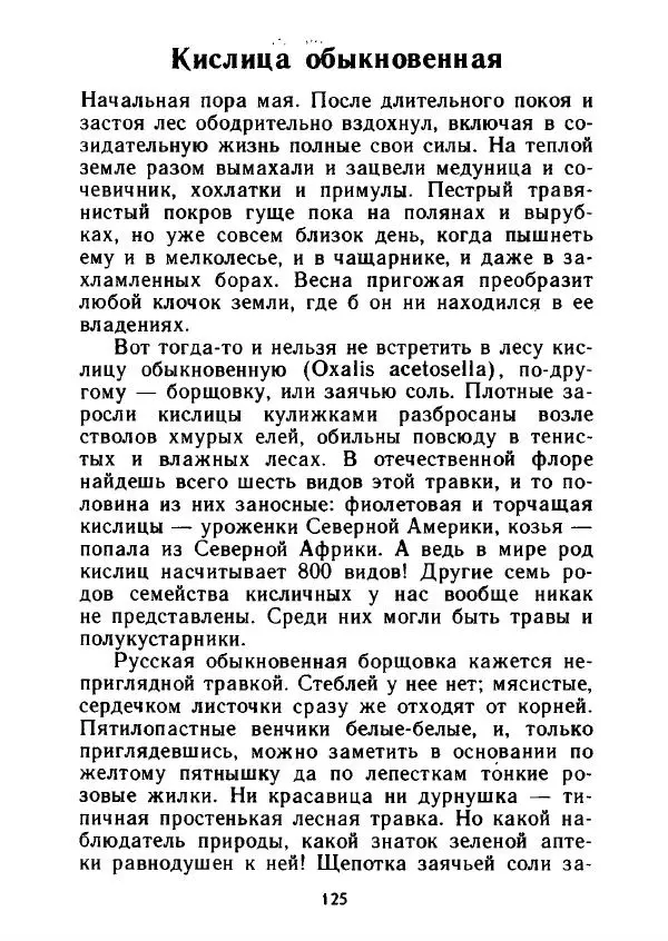 Александр Стрижев - Лесная скатерть-самобранка - Страница № 122