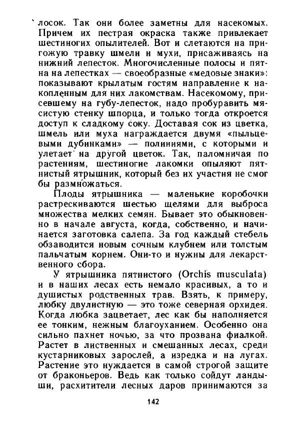 Александр Стрижев - Лесная скатерть-самобранка - Страница № 139