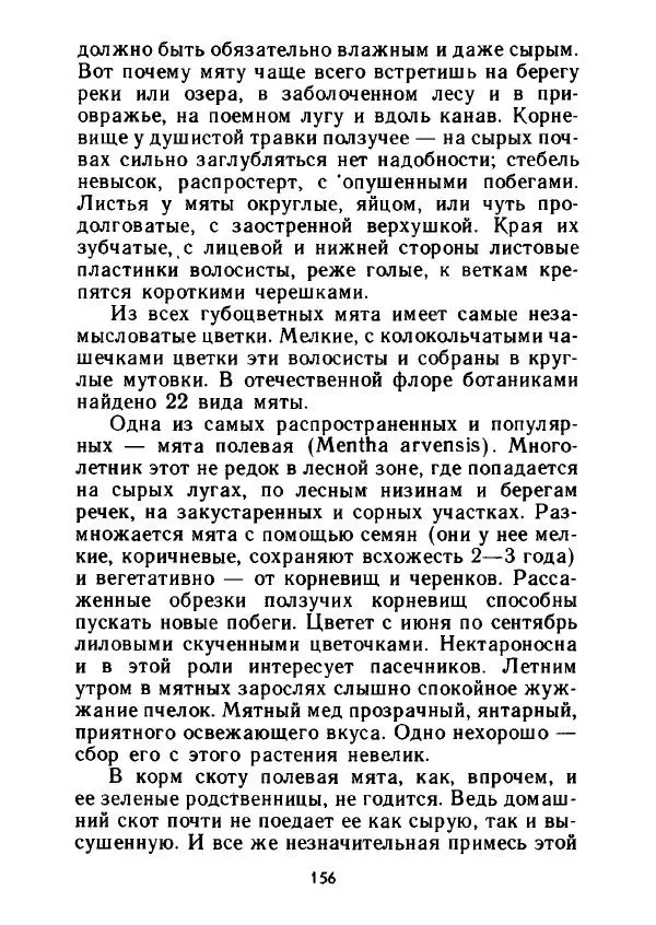 Александр Стрижев - Лесная скатерть-самобранка - Страница № 153