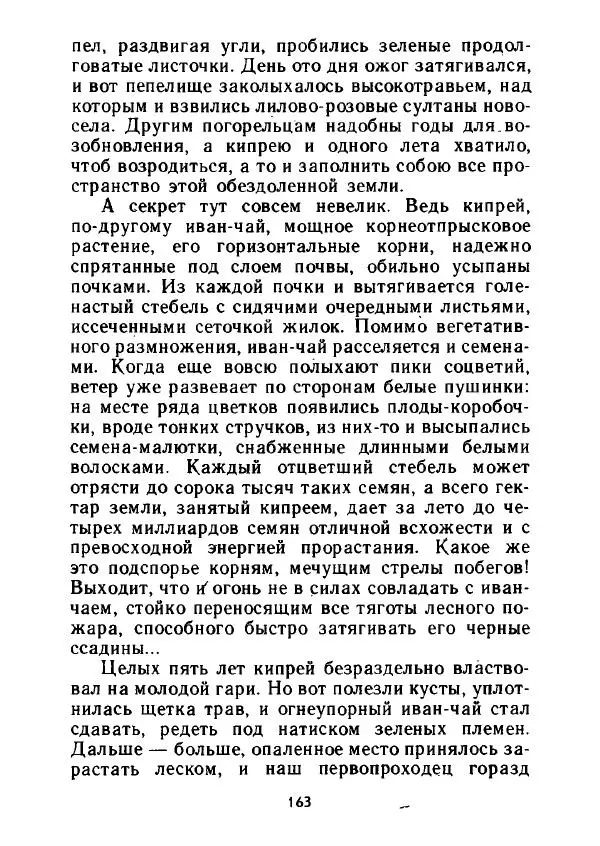 Александр Стрижев - Лесная скатерть-самобранка - Страница № 160
