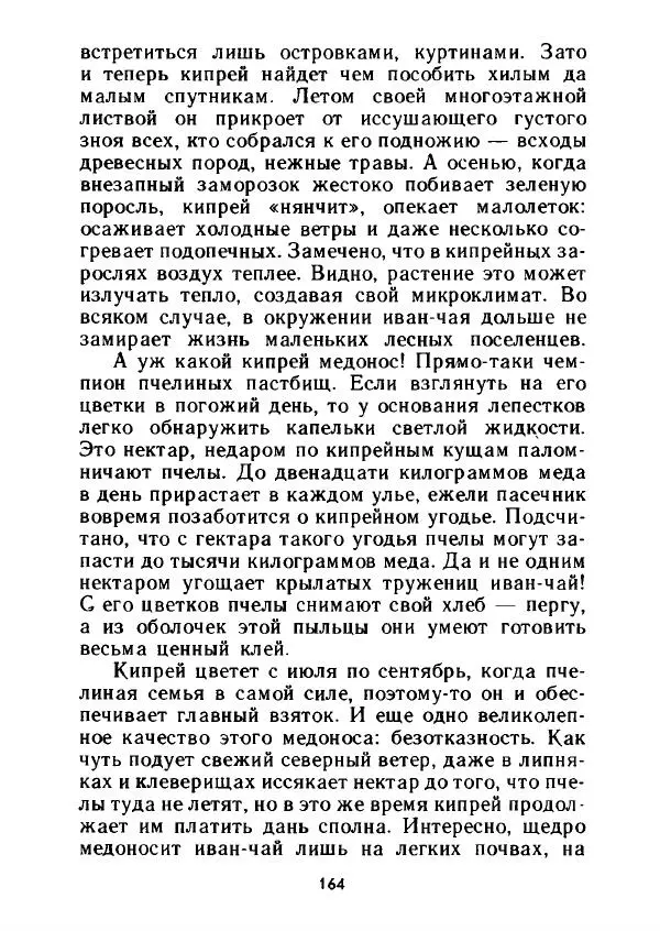 Александр Стрижев - Лесная скатерть-самобранка - Страница № 161