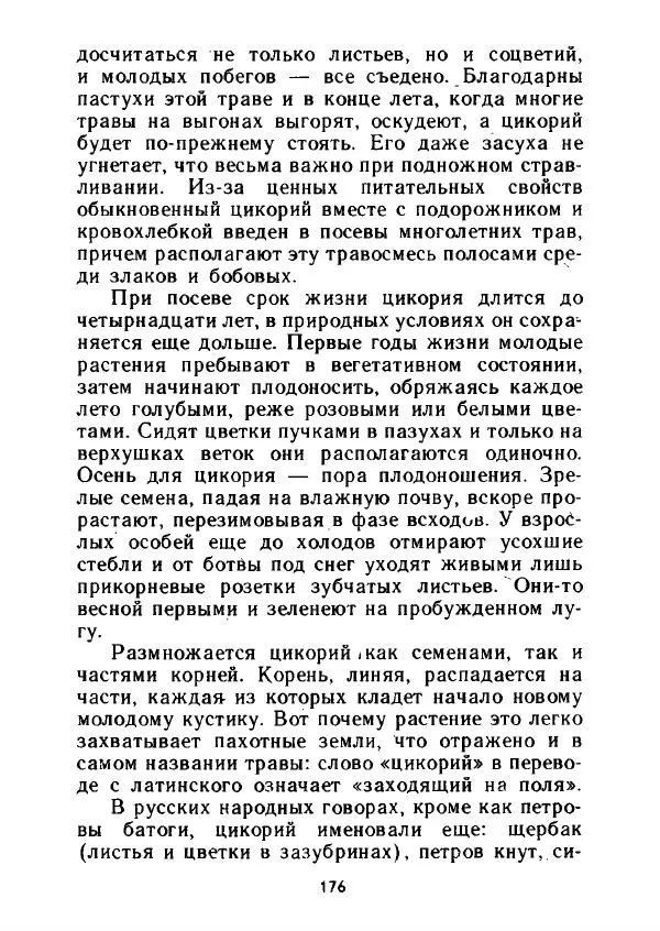 Александр Стрижев - Лесная скатерть-самобранка - Страница № 173