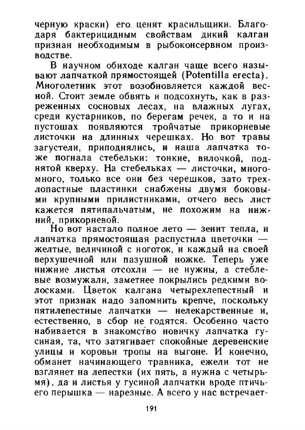 Александр Стрижев - Лесная скатерть-самобранка - Страница № 188