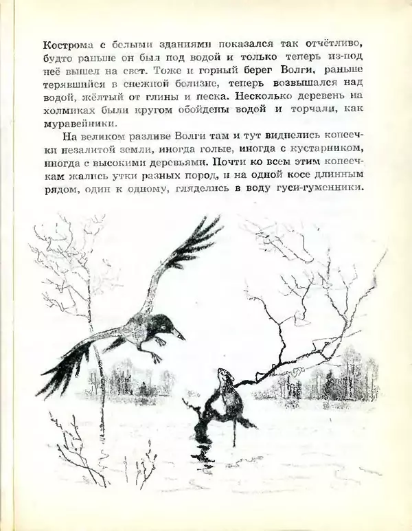 Михаил Пришвин - В краю дедушки Мазая - Страница № 18