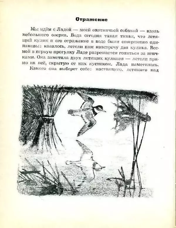 Михаил Пришвин - В краю дедушки Мазая - Страница № 25