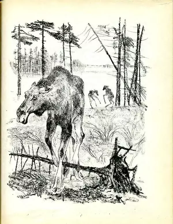 Михаил Пришвин - В краю дедушки Мазая - Страница № 28