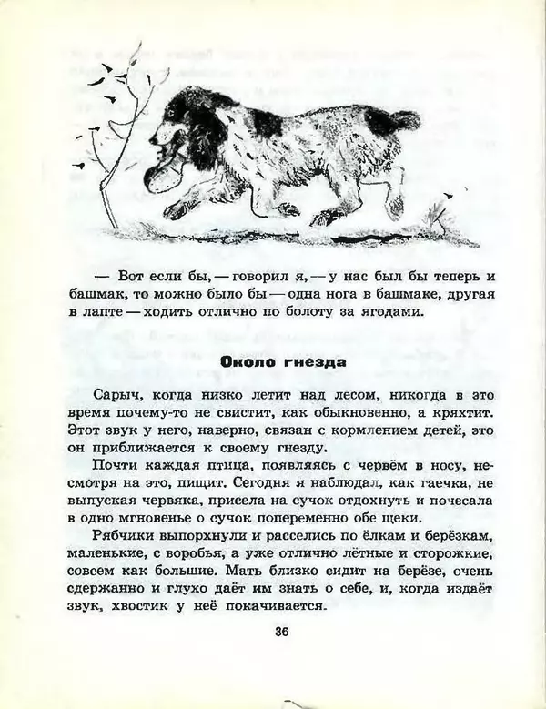 Михаил Пришвин - В краю дедушки Мазая - Страница № 37