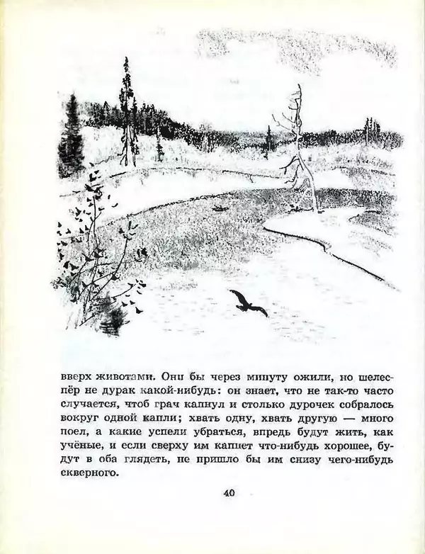 Михаил Пришвин - В краю дедушки Мазая - Страница № 41
