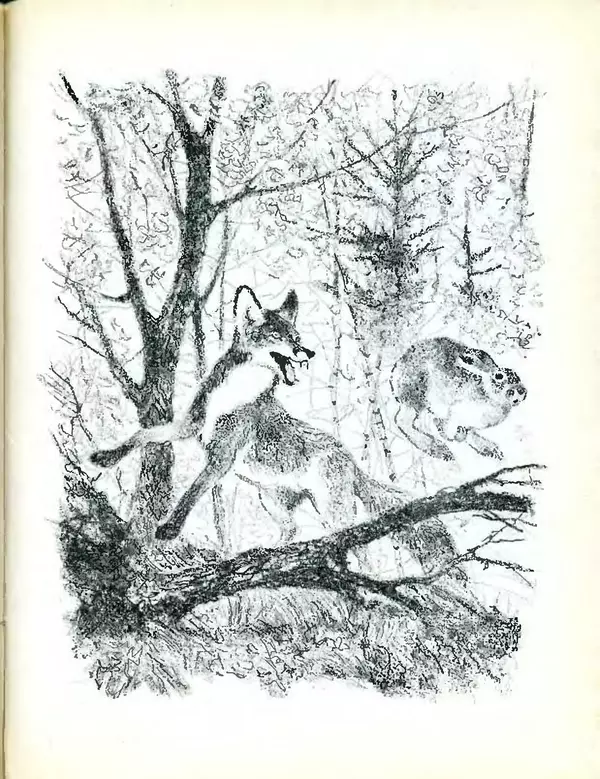 Михаил Пришвин - В краю дедушки Мазая - Страница № 52