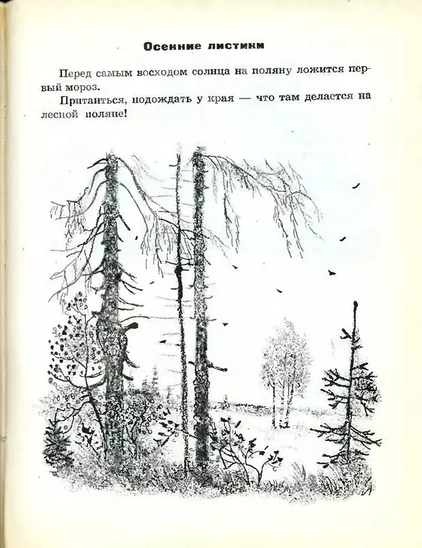 Михаил Пришвин - В краю дедушки Мазая - Страница № 56