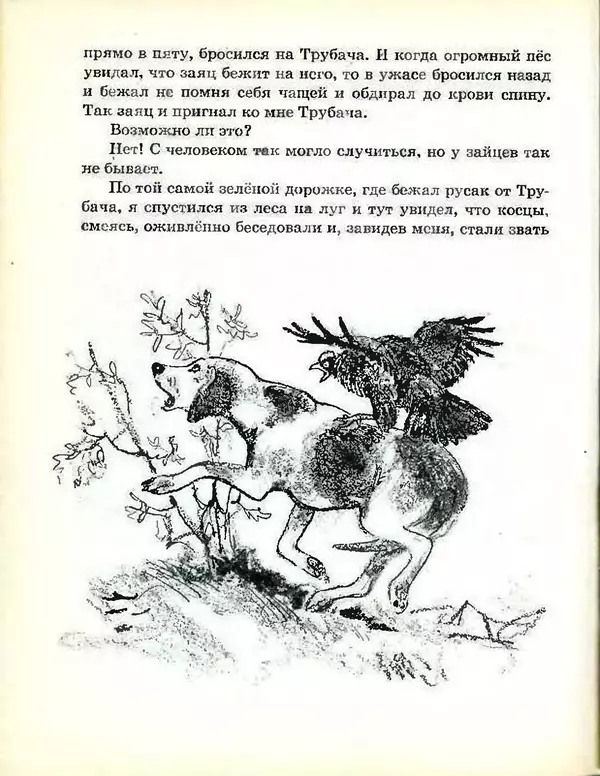 Михаил Пришвин - В краю дедушки Мазая - Страница № 89