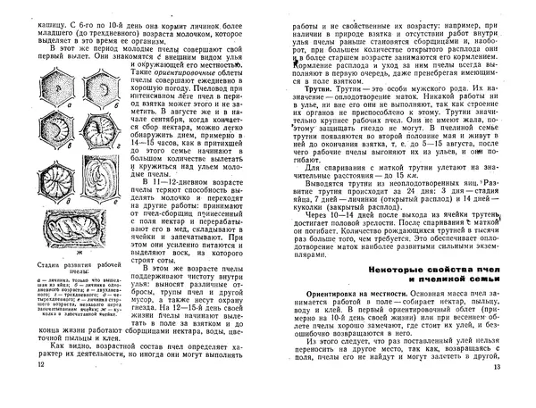 Иван Славстэнский - Пчеловодство для начинающих - Страница № 8